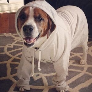 Meet your Posher, Susan